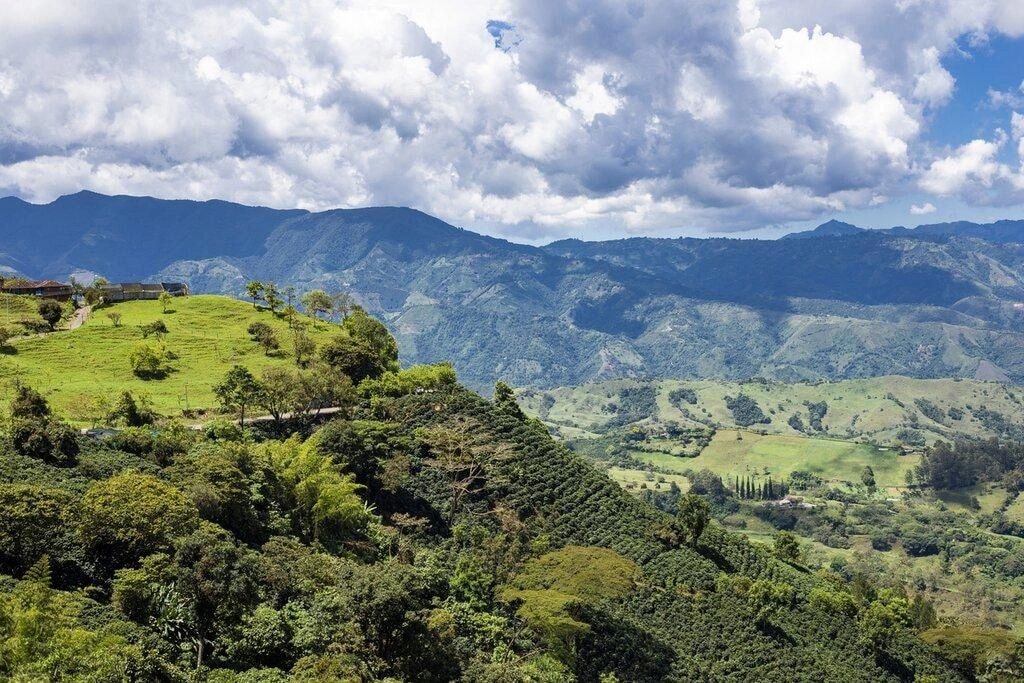 Lush Colombian mountain valley landscape